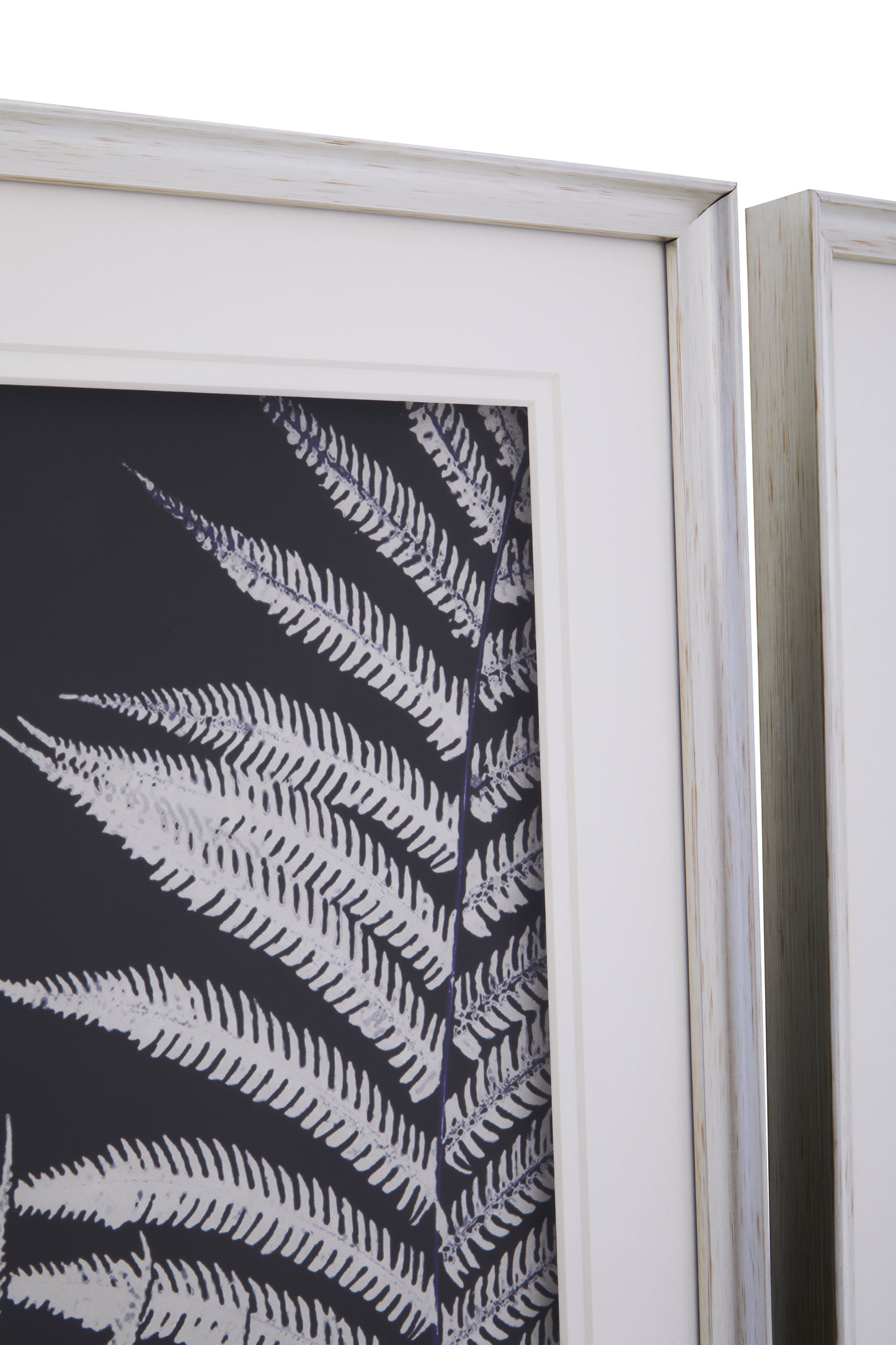Nason Set Of Two Leaf Print Wall Art