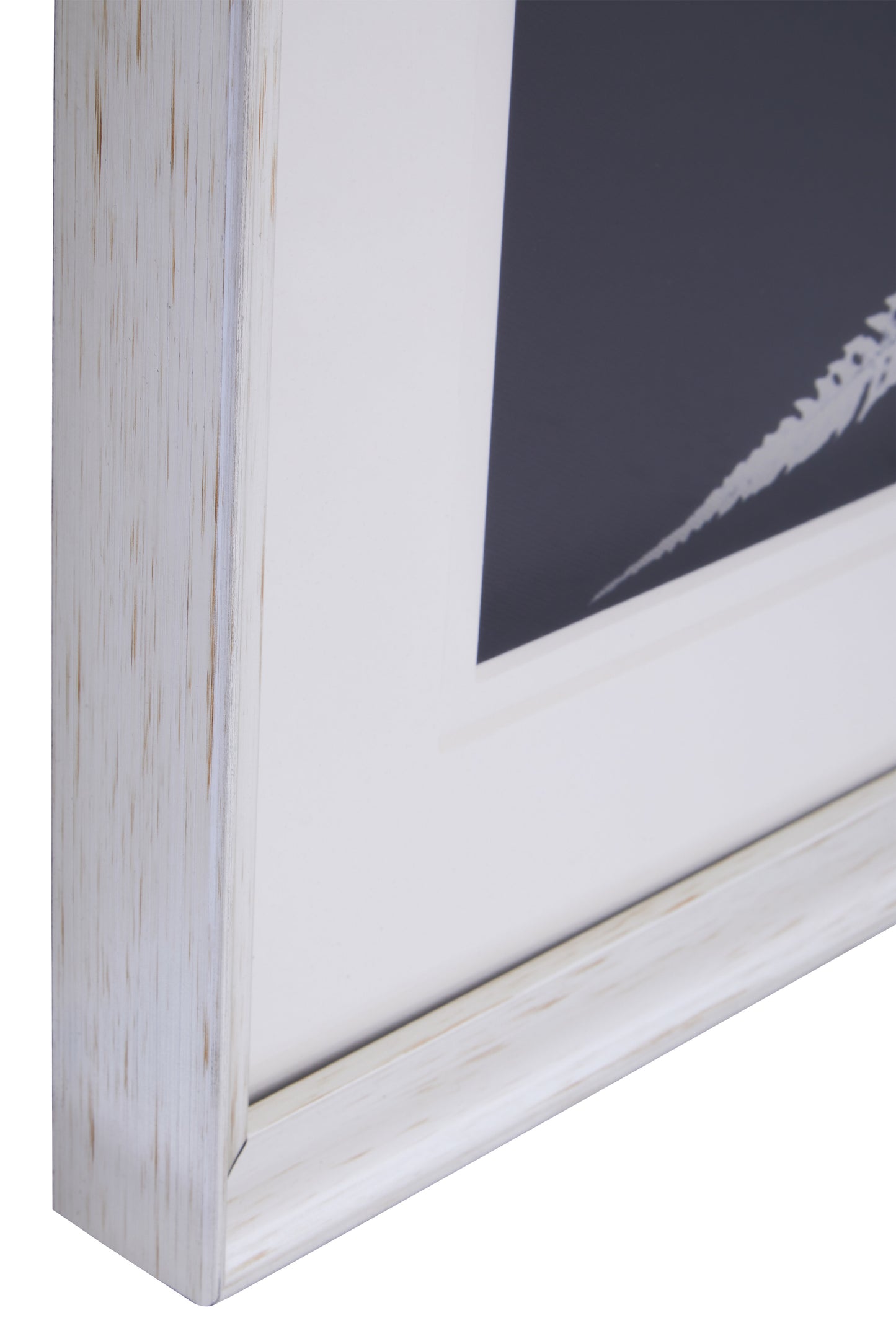 Nason Set Of Two Leaf Print Wall Art