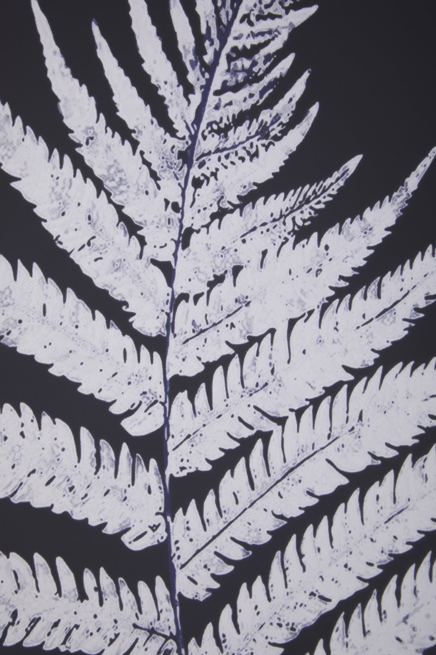 Nason Set Of Two Leaf Print Wall Art