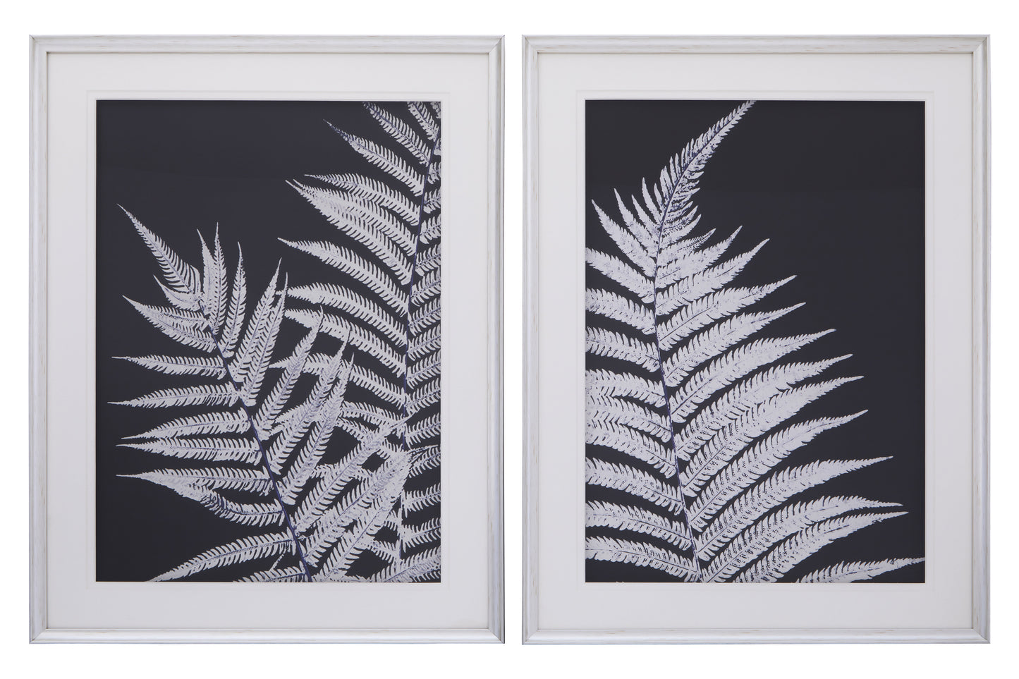 Nason Set Of Two Leaf Print Wall Art