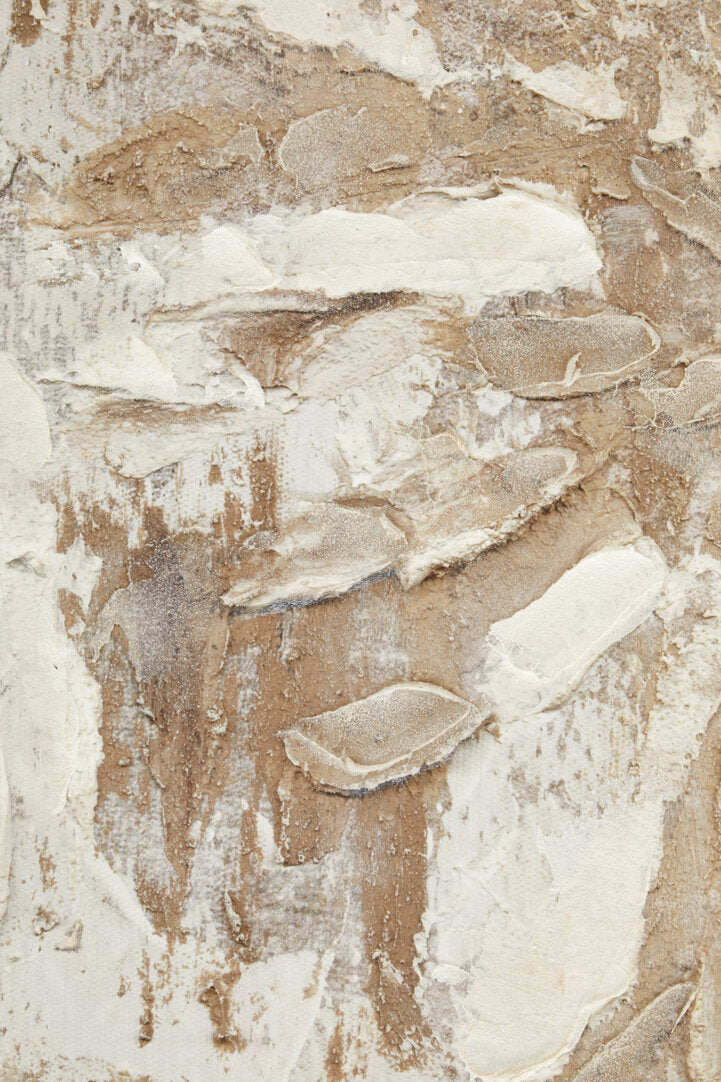 Astratto Set of 2 Neutral Hued Textured Wall Art - Additional